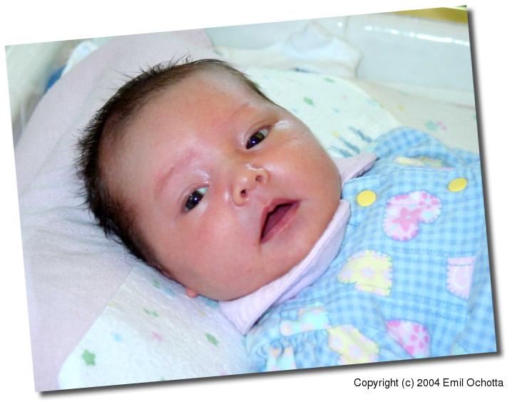 2004-02-12-4855.jpg
