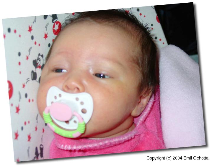 2004-02-16-4871.jpg