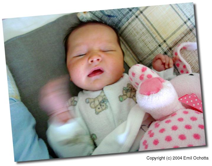 2004-02-19-4906.jpg