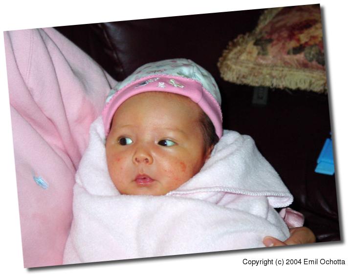 2004-02-24-4985.jpg