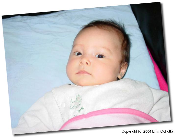 2004-03-21-5203.jpg
