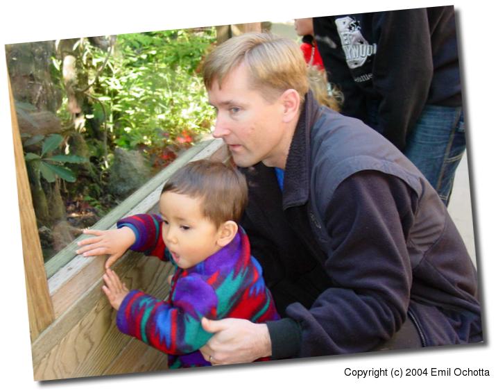 2003-11-23-4386.jpg