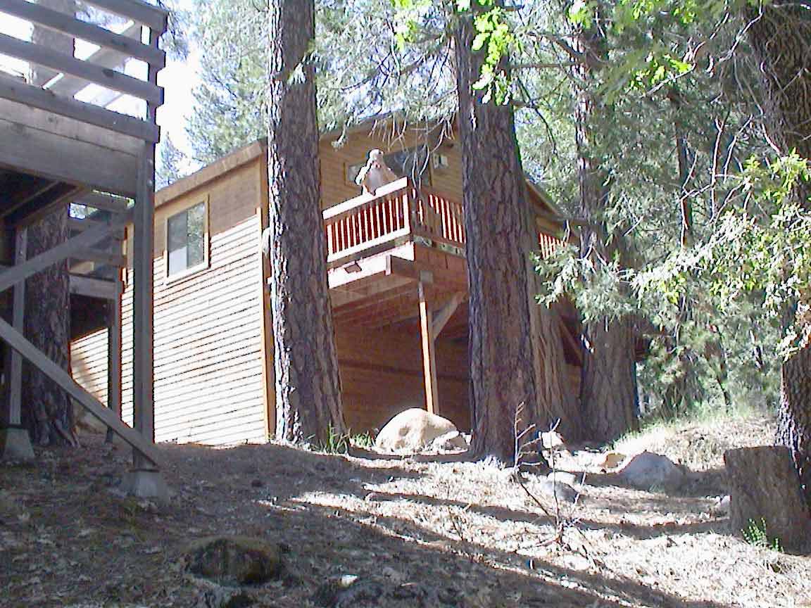 Yosemite-2001-001